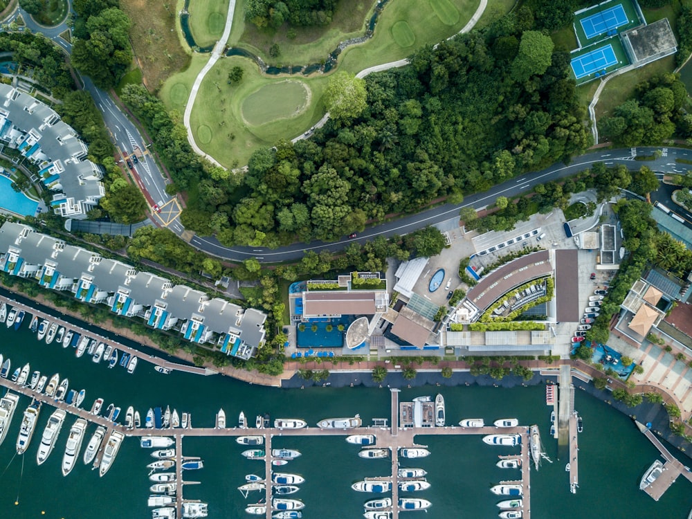 top view of white boats