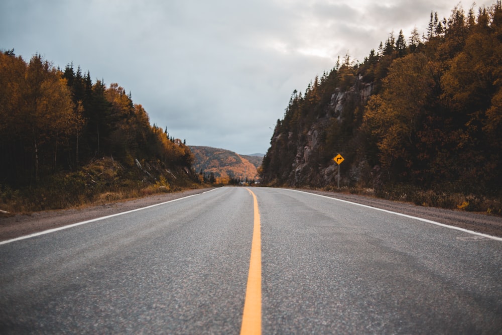 gray asphalt road