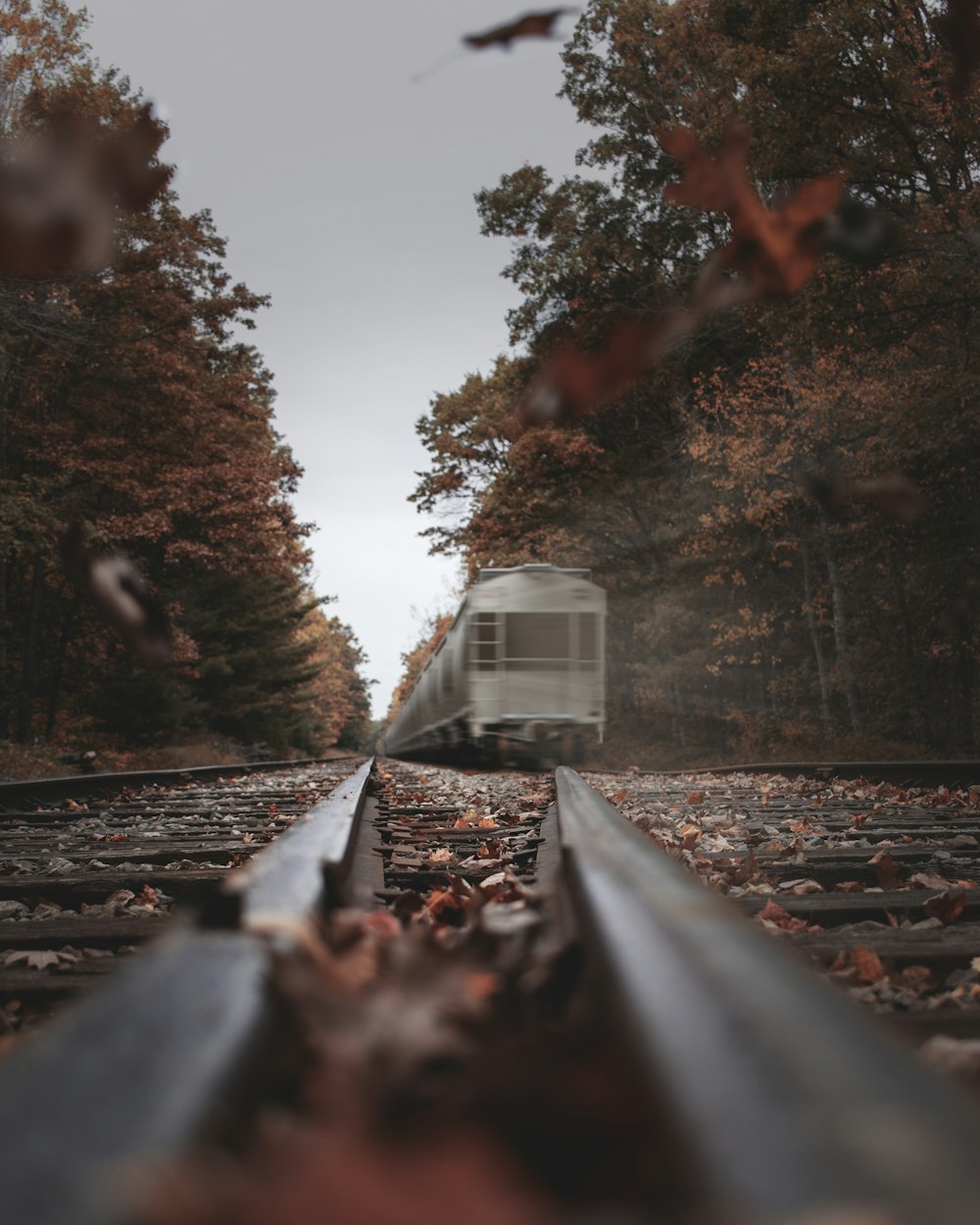 Tren gris en el ferrocarril durante el día