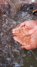 Two cupped hands are immersed in a flowing stream, catching fresh water. The hands are positioned against the backdrop of moving water, with the surrounding environment being earthy and natural.