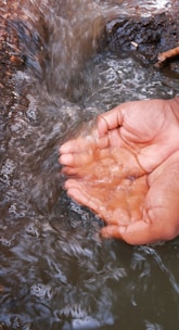 Two cupped hands are immersed in a flowing stream, catching fresh water. The hands are positioned against the backdrop of moving water, with the surrounding environment being earthy and natural.