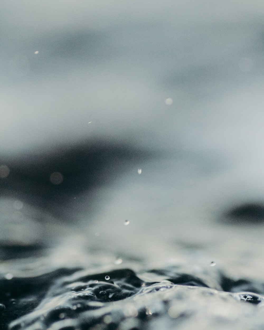 macro photography of water drops