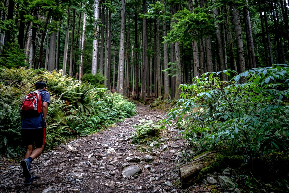 a man with a backpack is walking on a trail in the woods