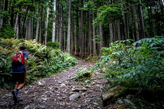 None in Grouse Mountain Canada