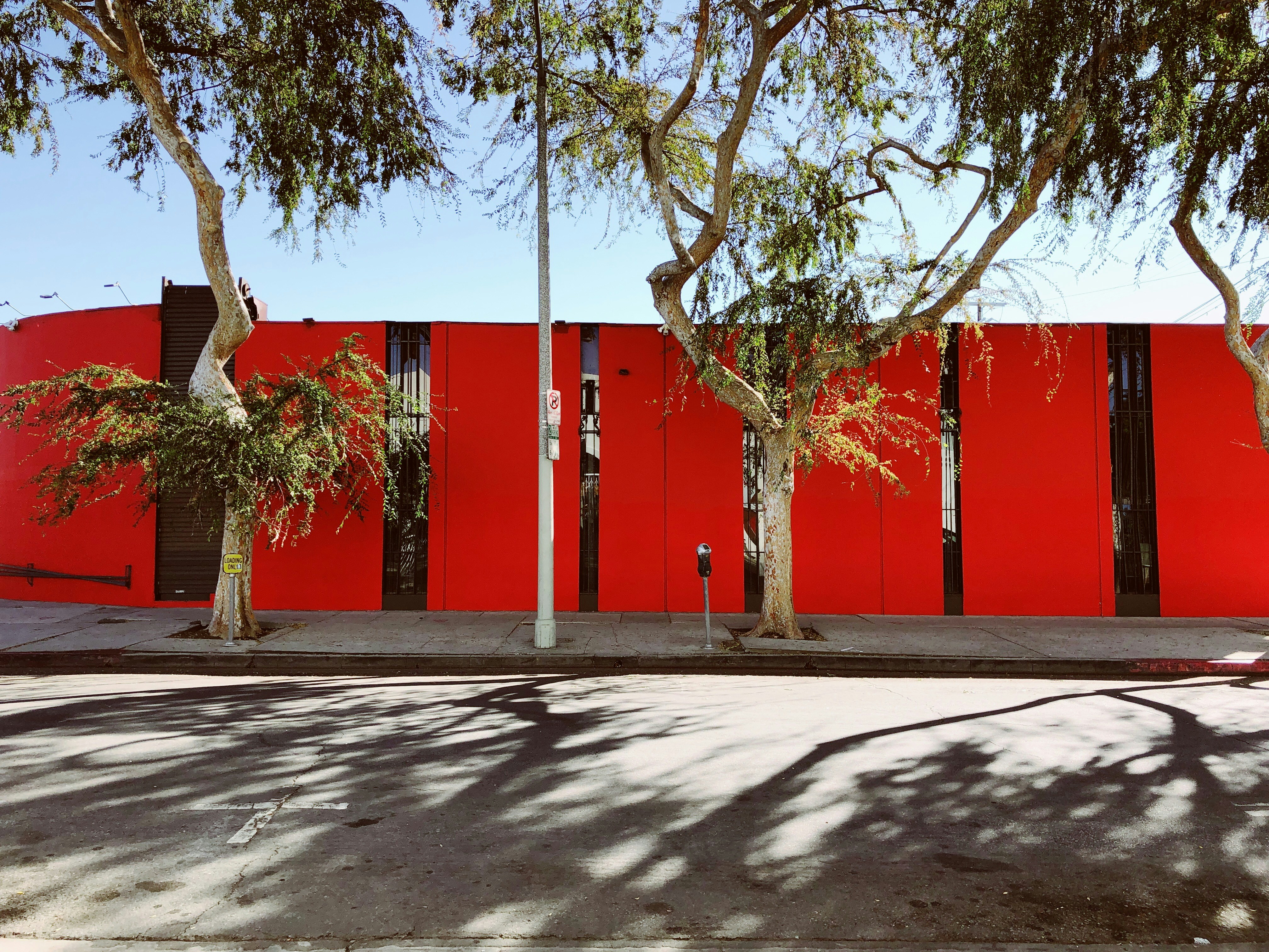 Photo by brandialxndra