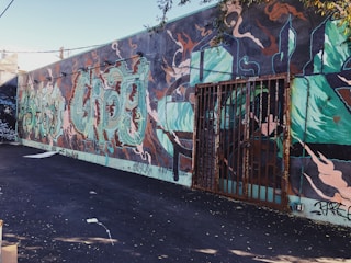 A wall featuring vibrant graffiti art in a variety of colors and abstract designs. The artwork includes intricate patterns and lettering, with a mix of teal, green, orange, and black hues. The area is outdoors and the scene includes a metal gate with engraved details.