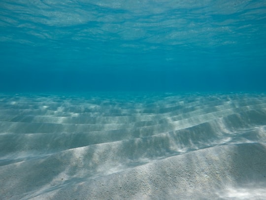 under water photography wallpaper in Thoddoo Maldives