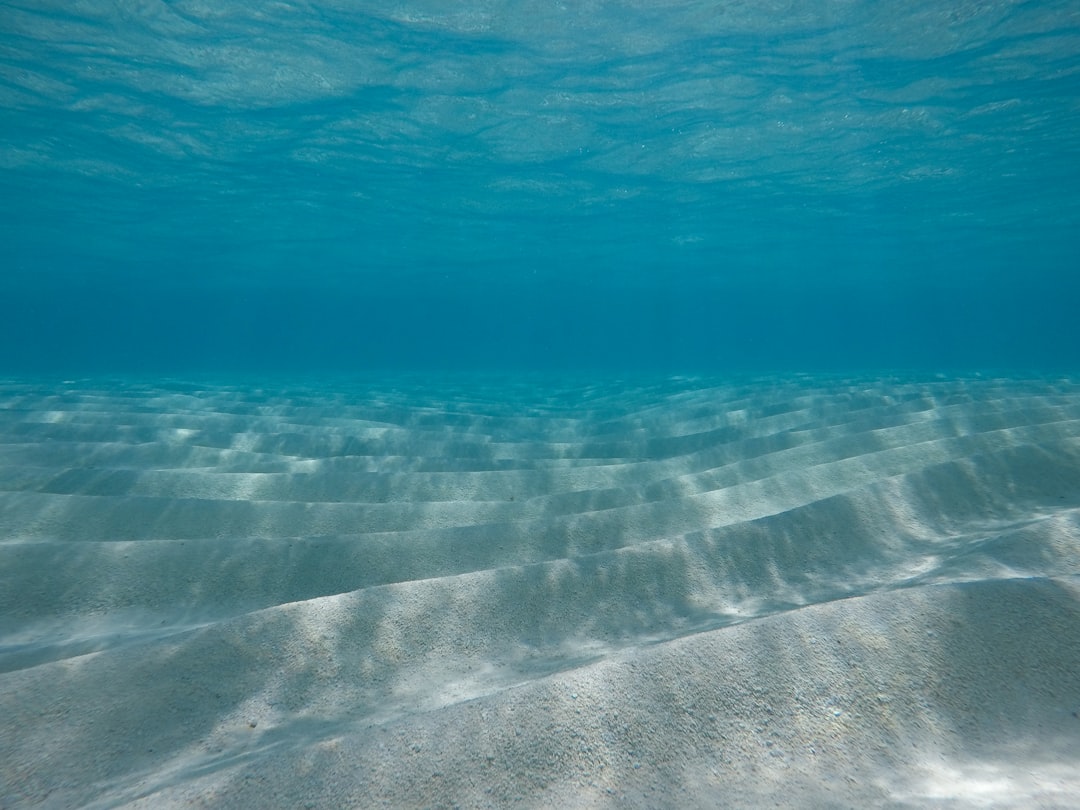 Underwater photo spot Thoddoo Maafushi