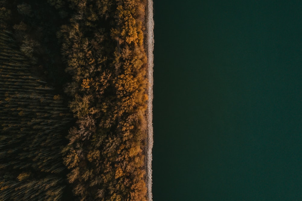 Vue de dessus de l’eau verte et calme