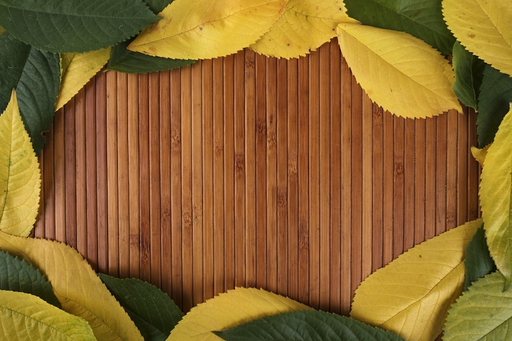 yellow and green leaves