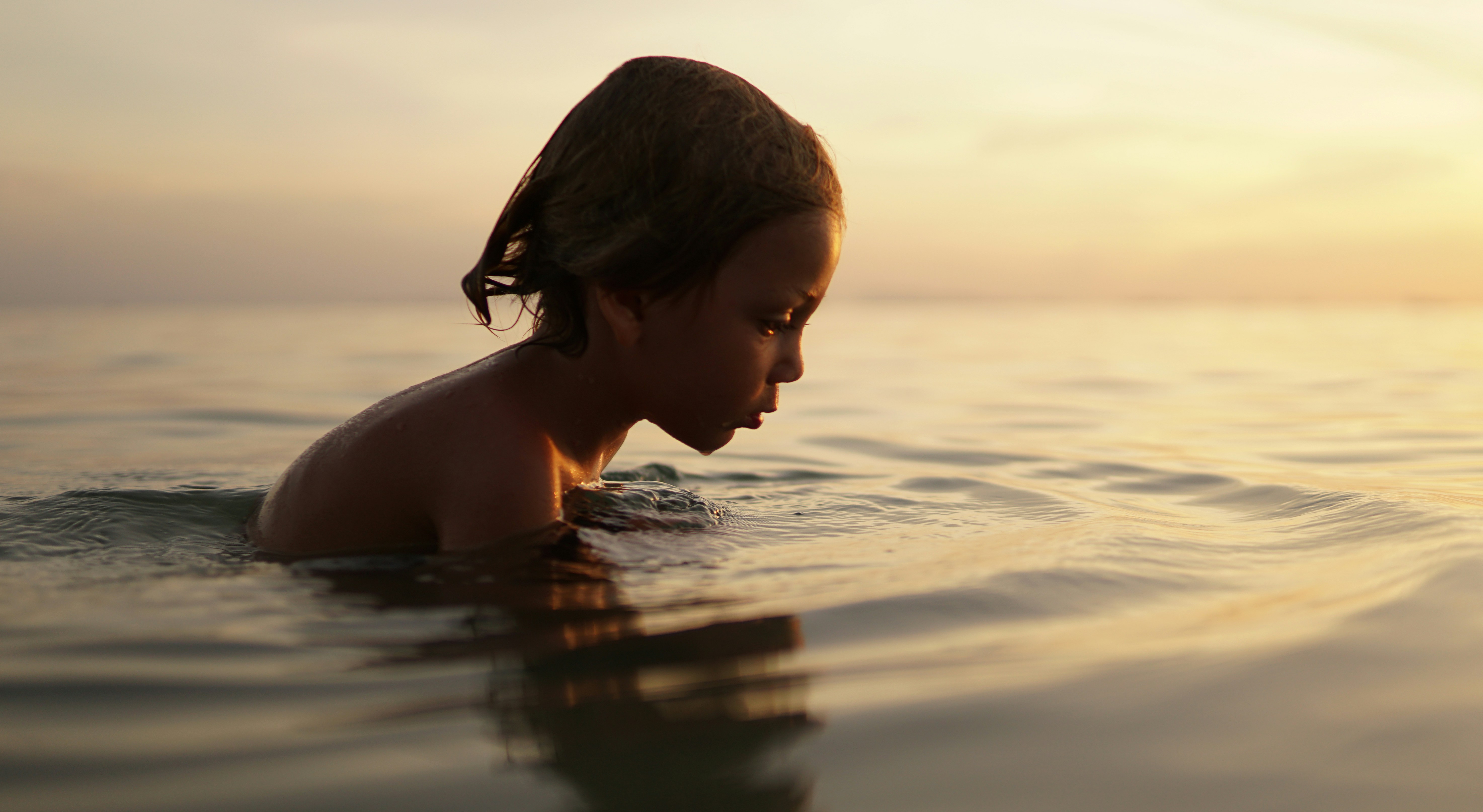 向往的生活第五季免费柠檬，向往的生活第五季免费柠檬影视