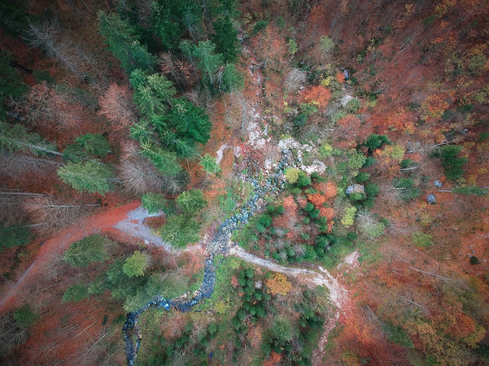 an aerial view of a wooded area with a river running through it