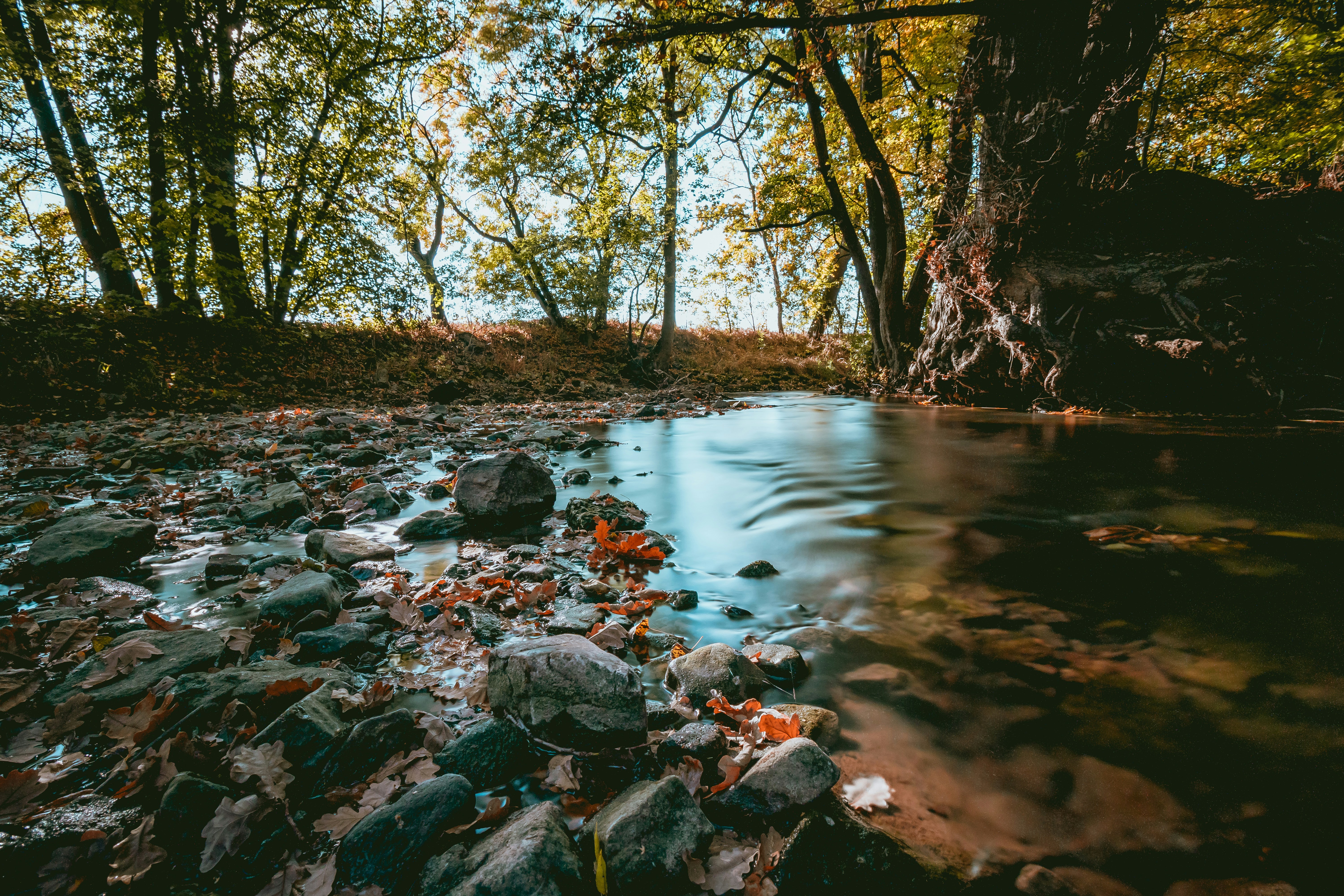 Photo by niklas_hamann