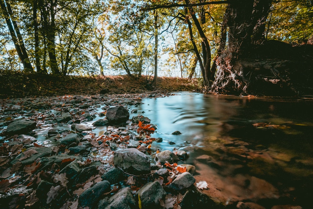 stones on water