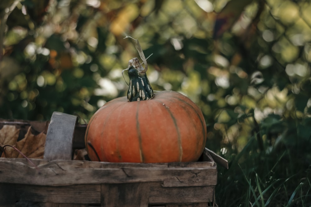 pumpkin on brown wooden crate