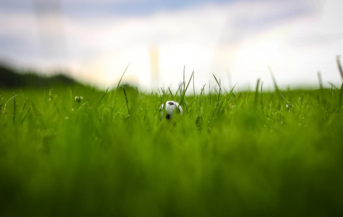 A small football on green grass