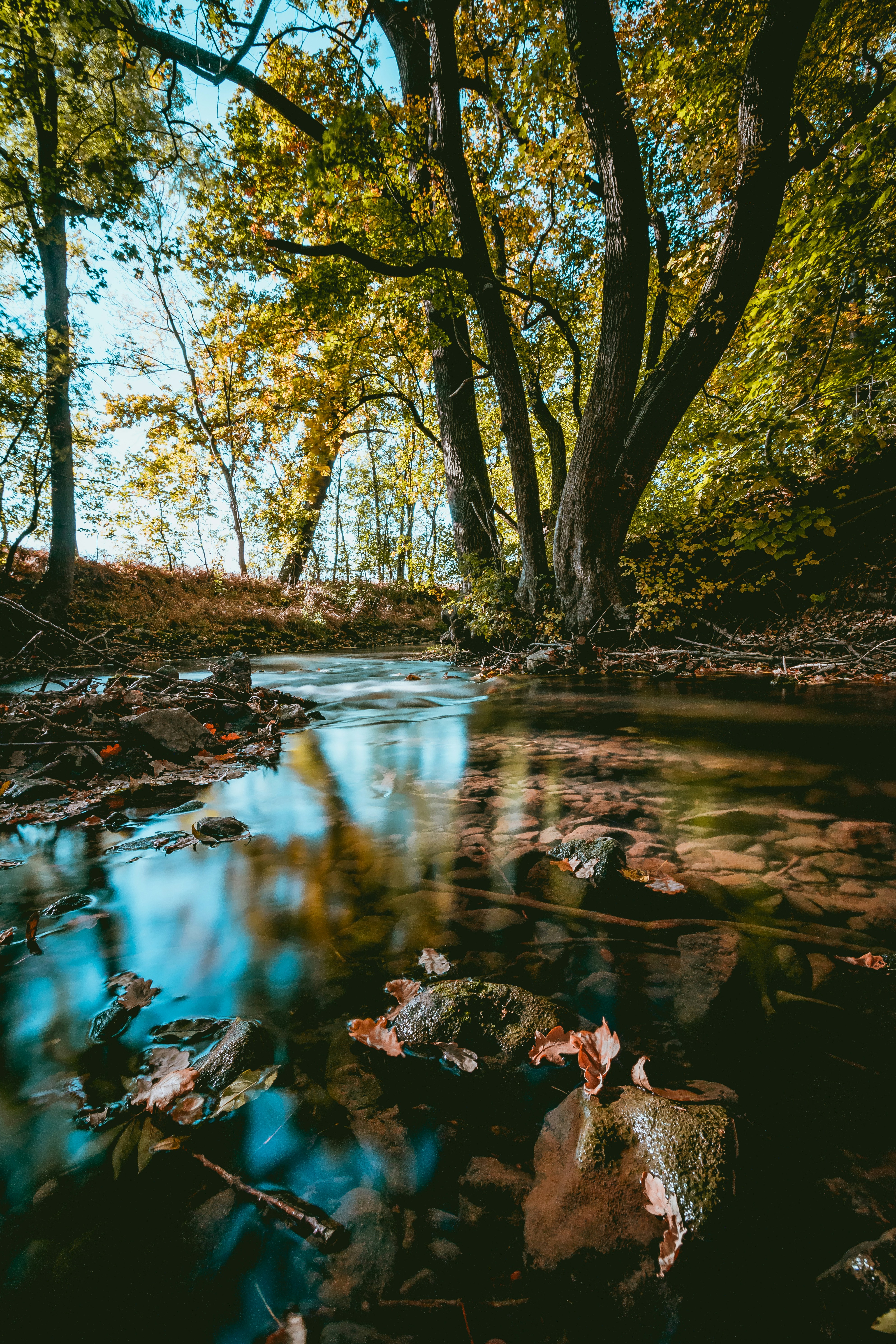 Photo by niklas_hamann