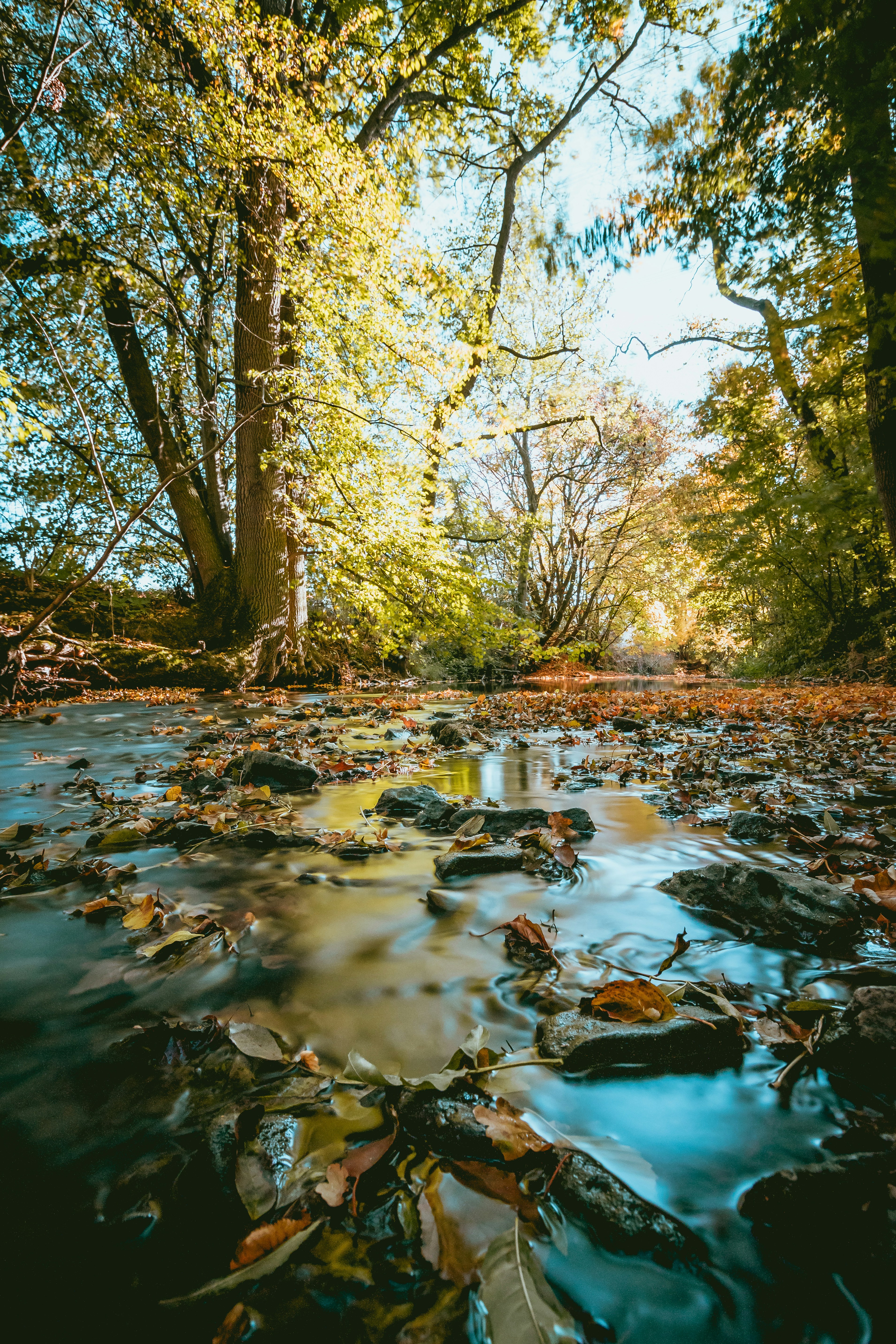 Photo by niklas_hamann