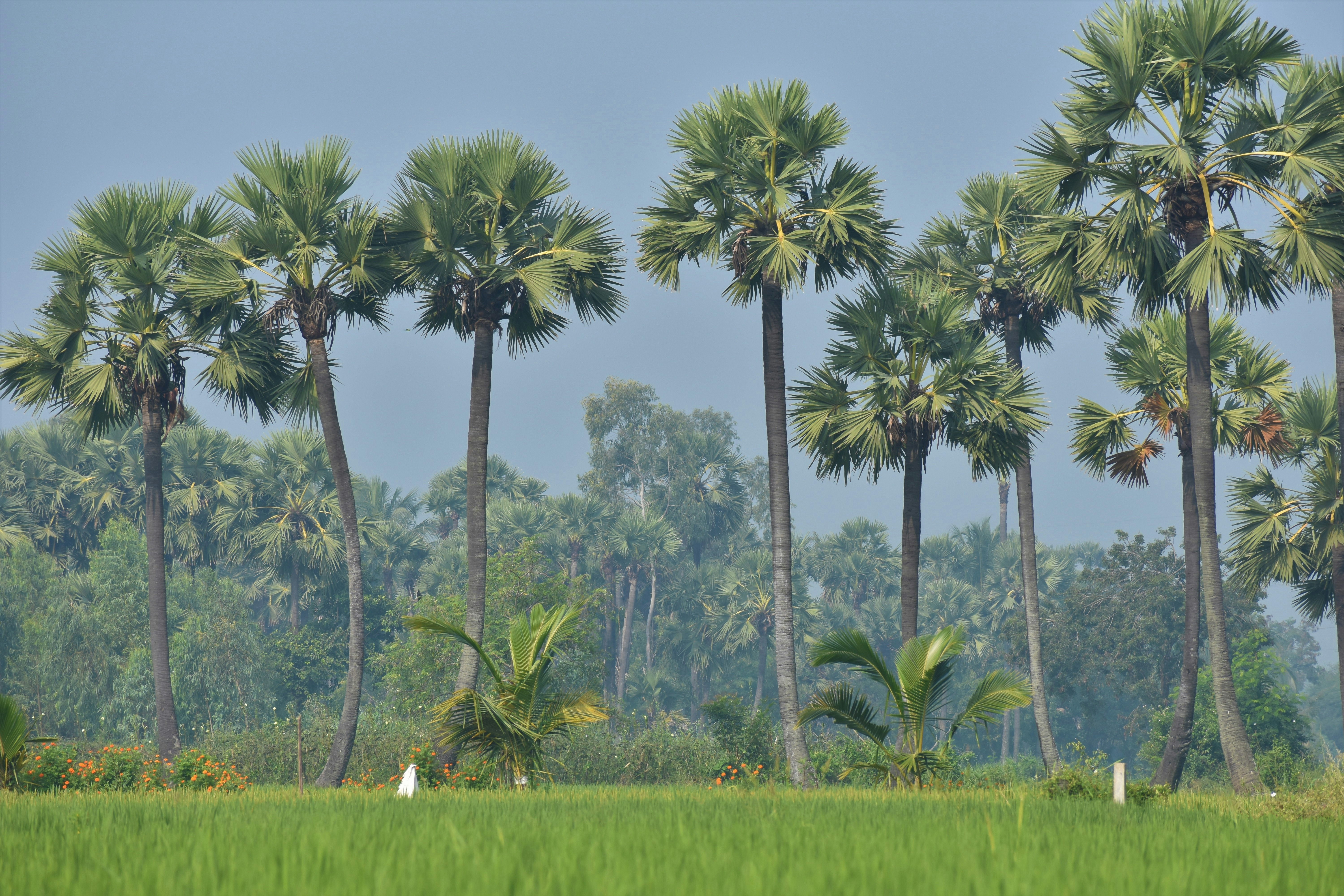 Photo by _charanveda