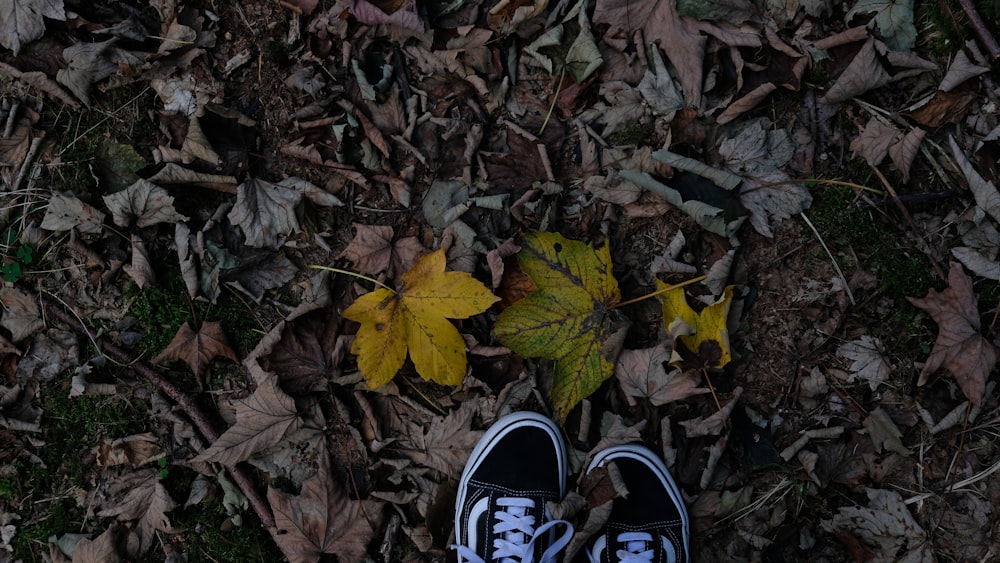 person wearing black and white Vans Old Skool low-top sneakers standing on withered leaves