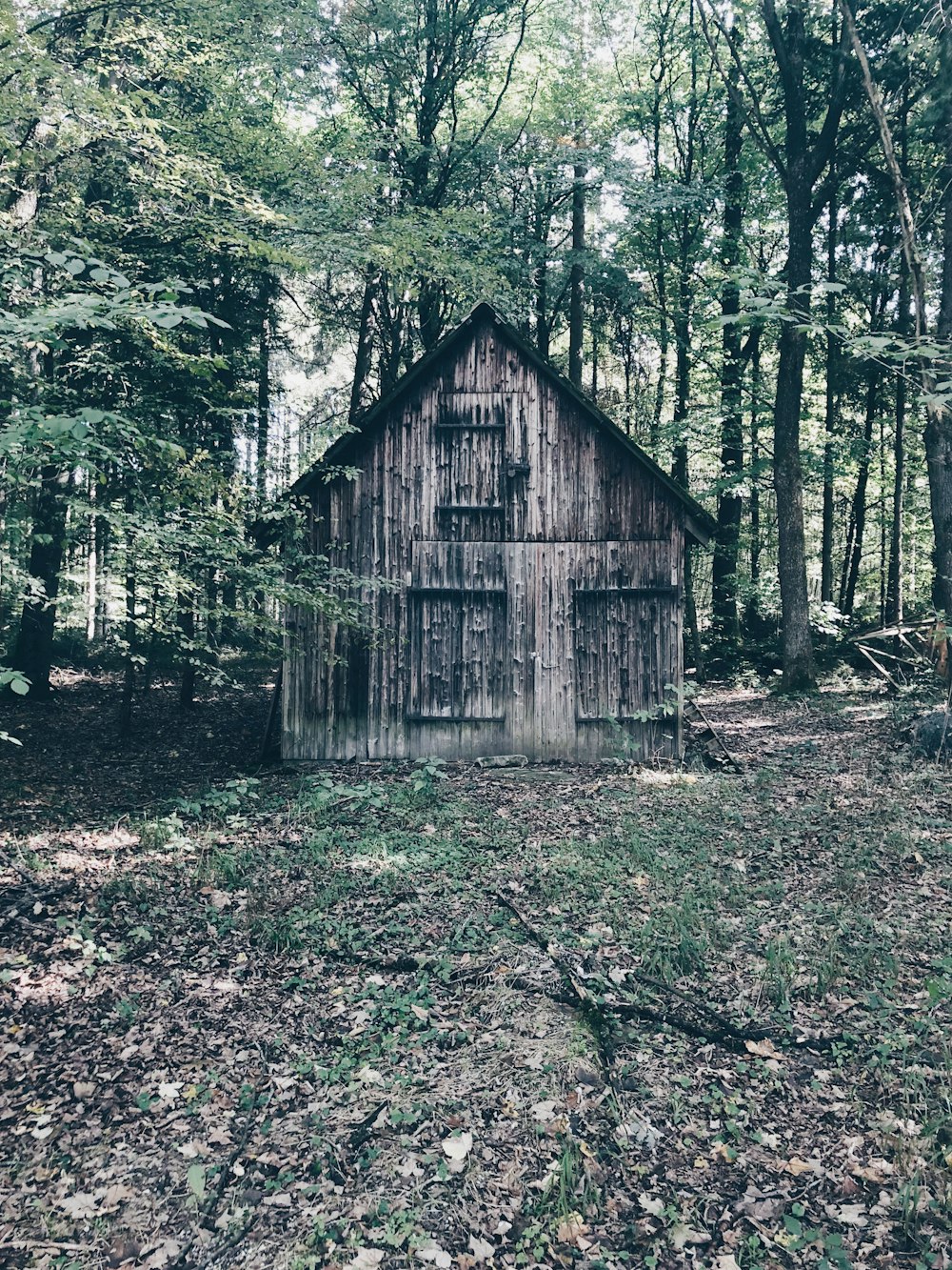 gray cabin near green trees