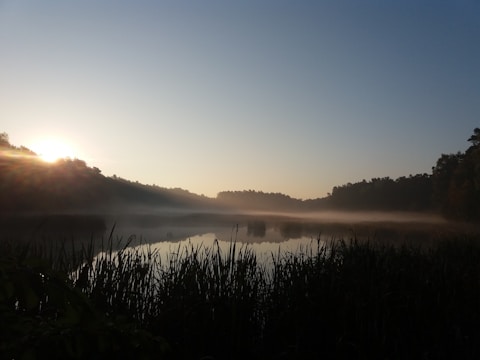 A serene landscape at dawn with mist rolling over a quiet lake.