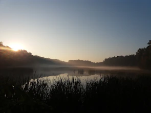 A serene landscape painting capturing early morning light over a misty lake.