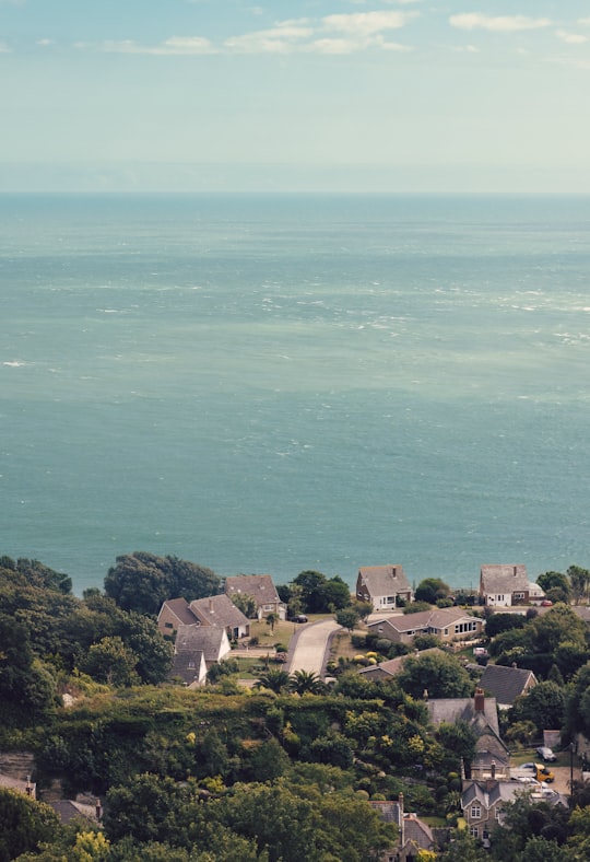 houses near ocean during daytime in Isle of Wight United Kingdom