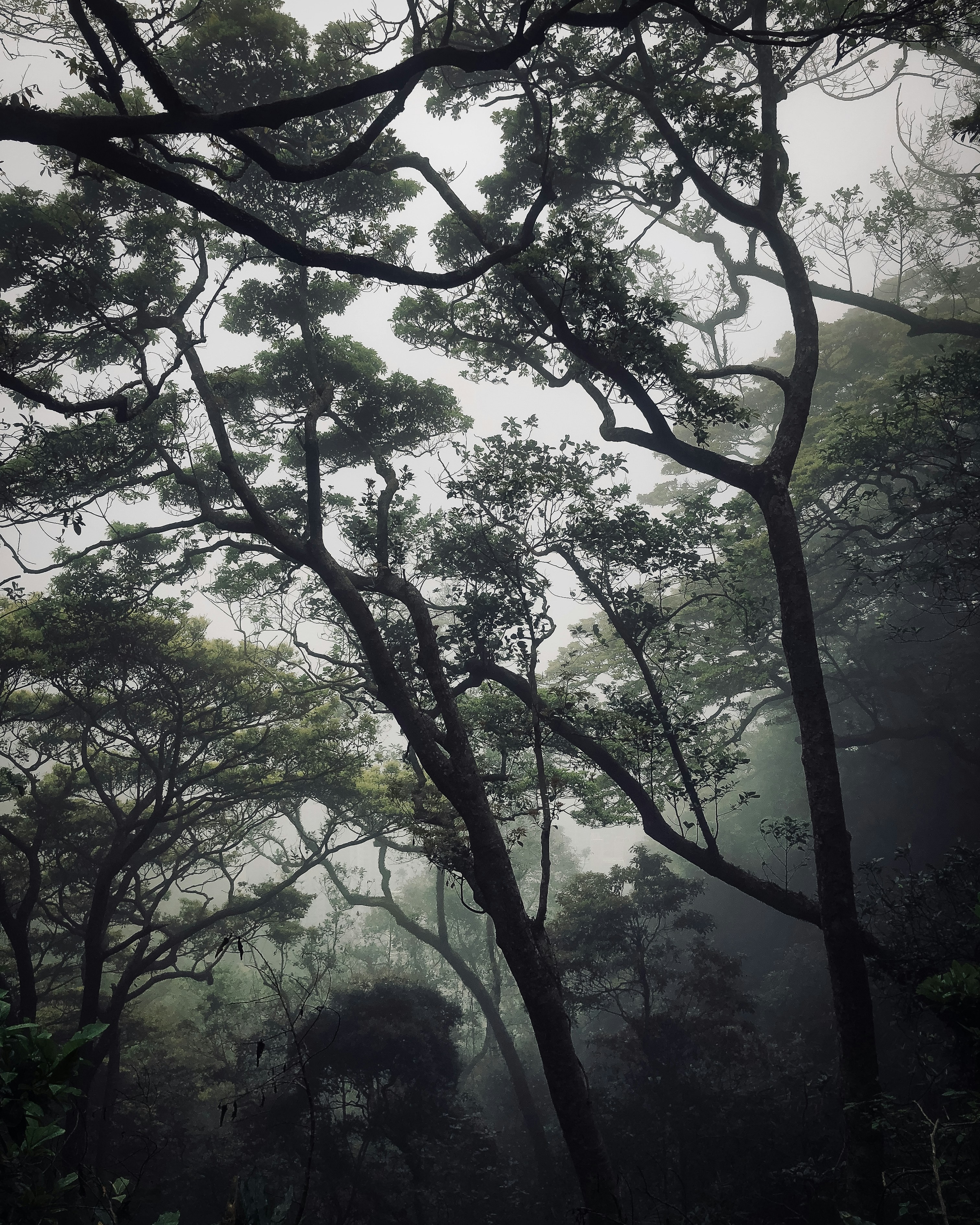 Photo by theisaacmatthew