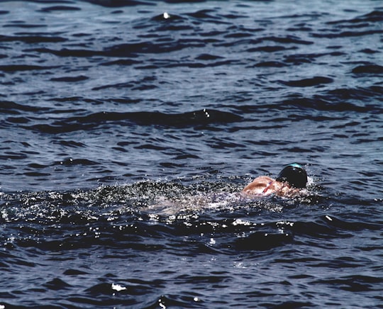 person swim on body of water in Cabbage Tree Bay Aquatic Reserve Australia
