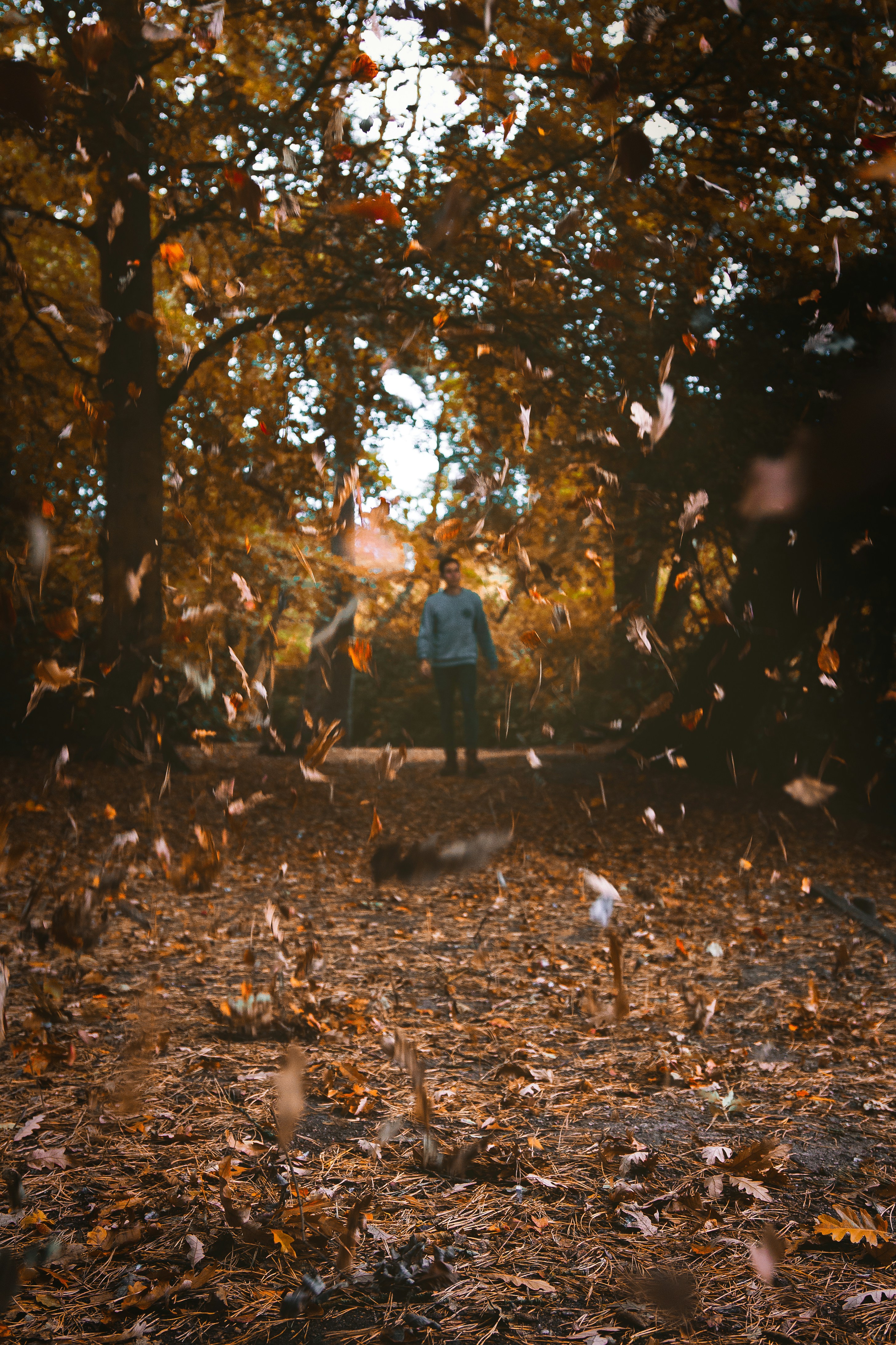 Photo by matt__feeney