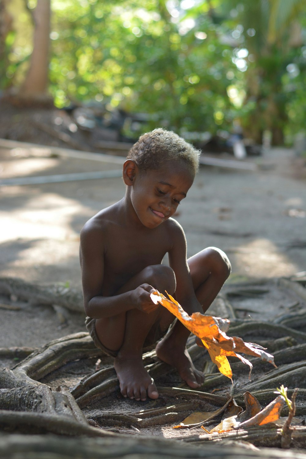 topless boy boy holding brown leaf during daytime