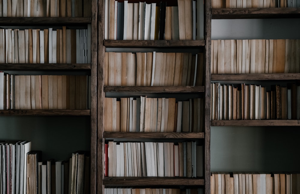 assorted books on shelf