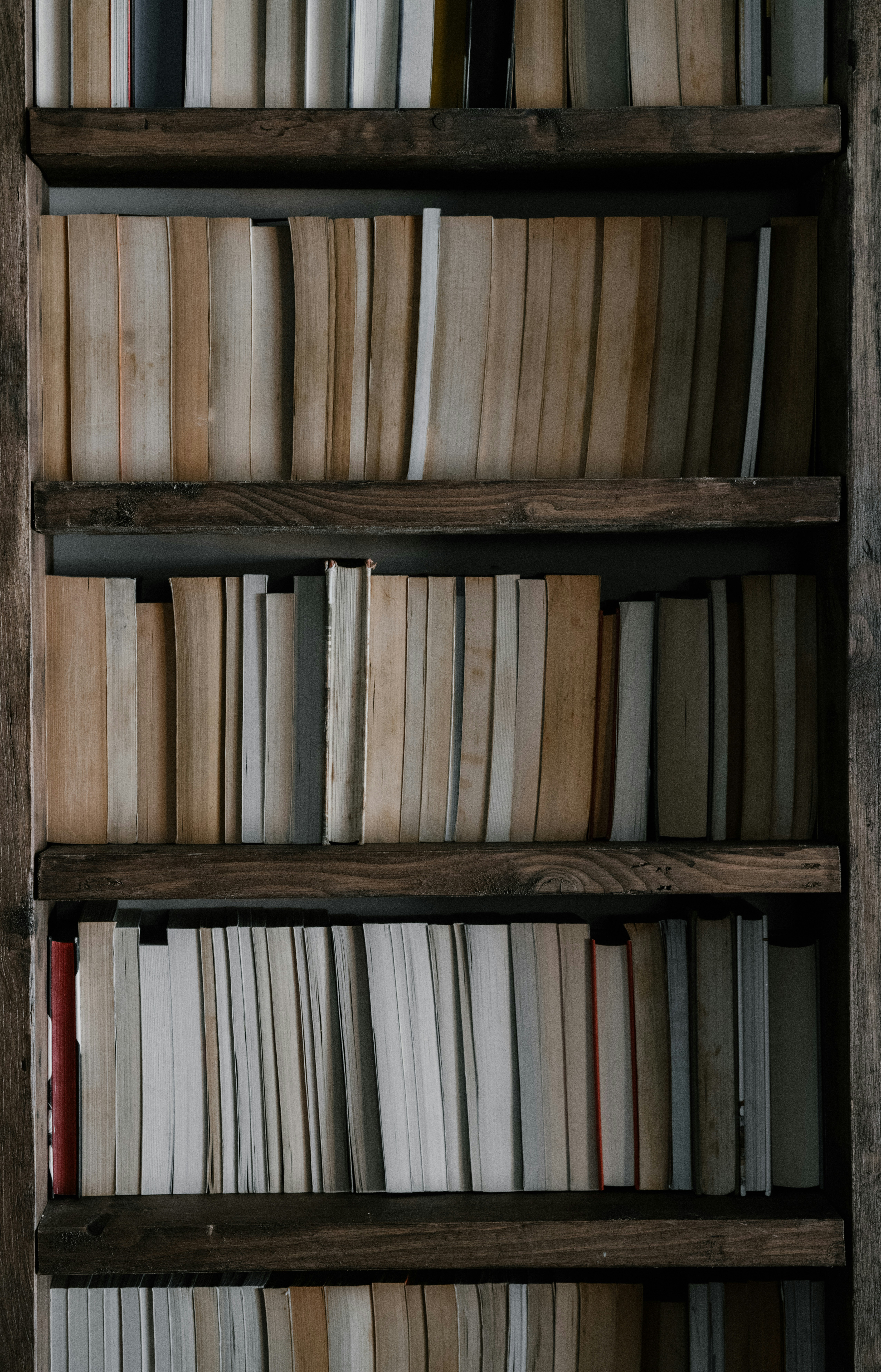 Photo by anniespratt