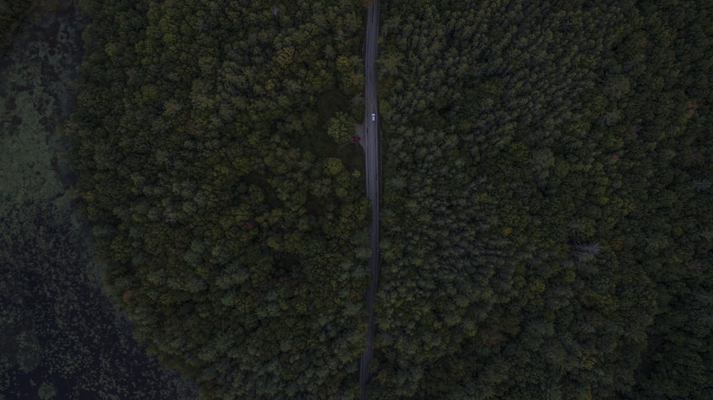 top view of an island