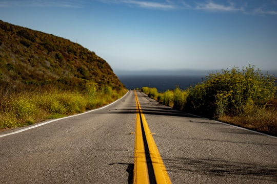 gray asphalted road near green field view under blue skies in California 1 United States