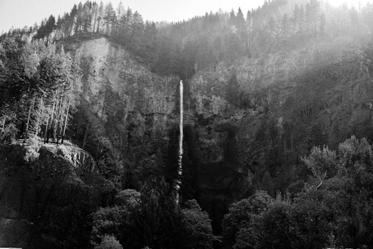 grayscale photography of forest in Multnomah Falls United States