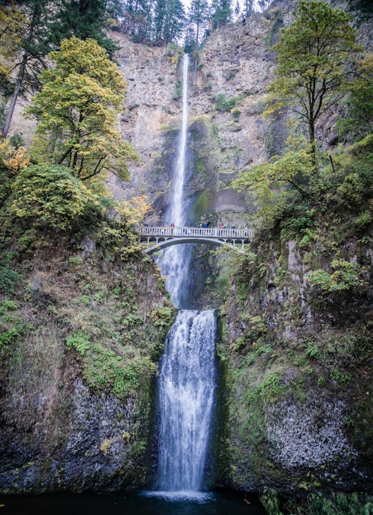 waterfalls with bridge in Benson State Recreation Area United States