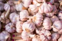 Amazing Facts about Garlic garlic stories