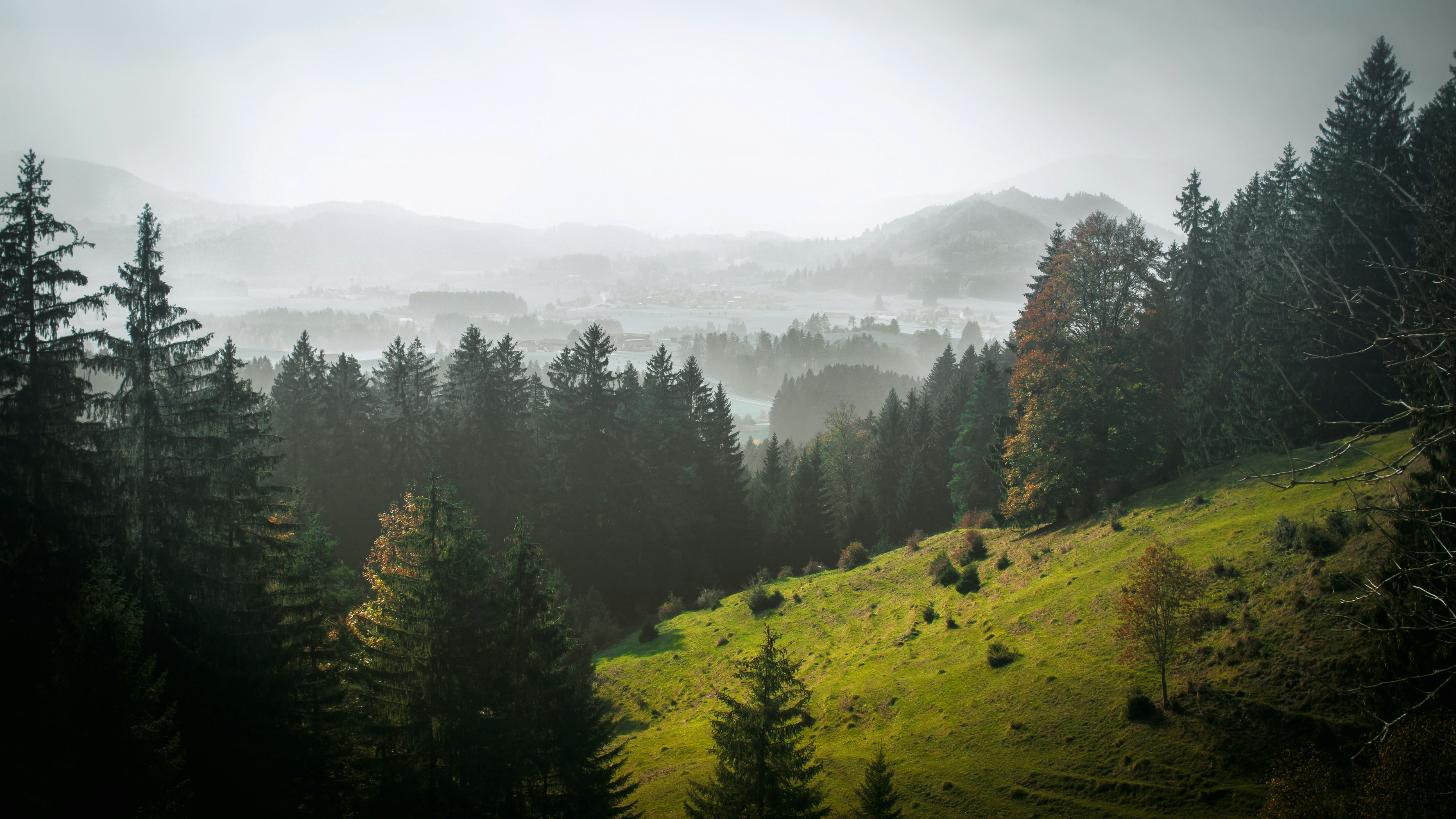 Photo by stefan_pflaum