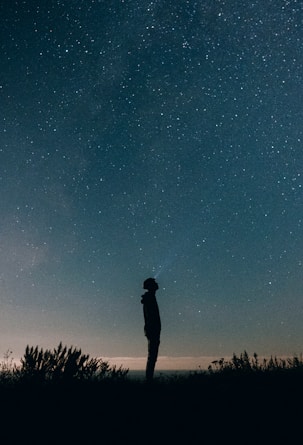 silhouette of person between grass under black sky