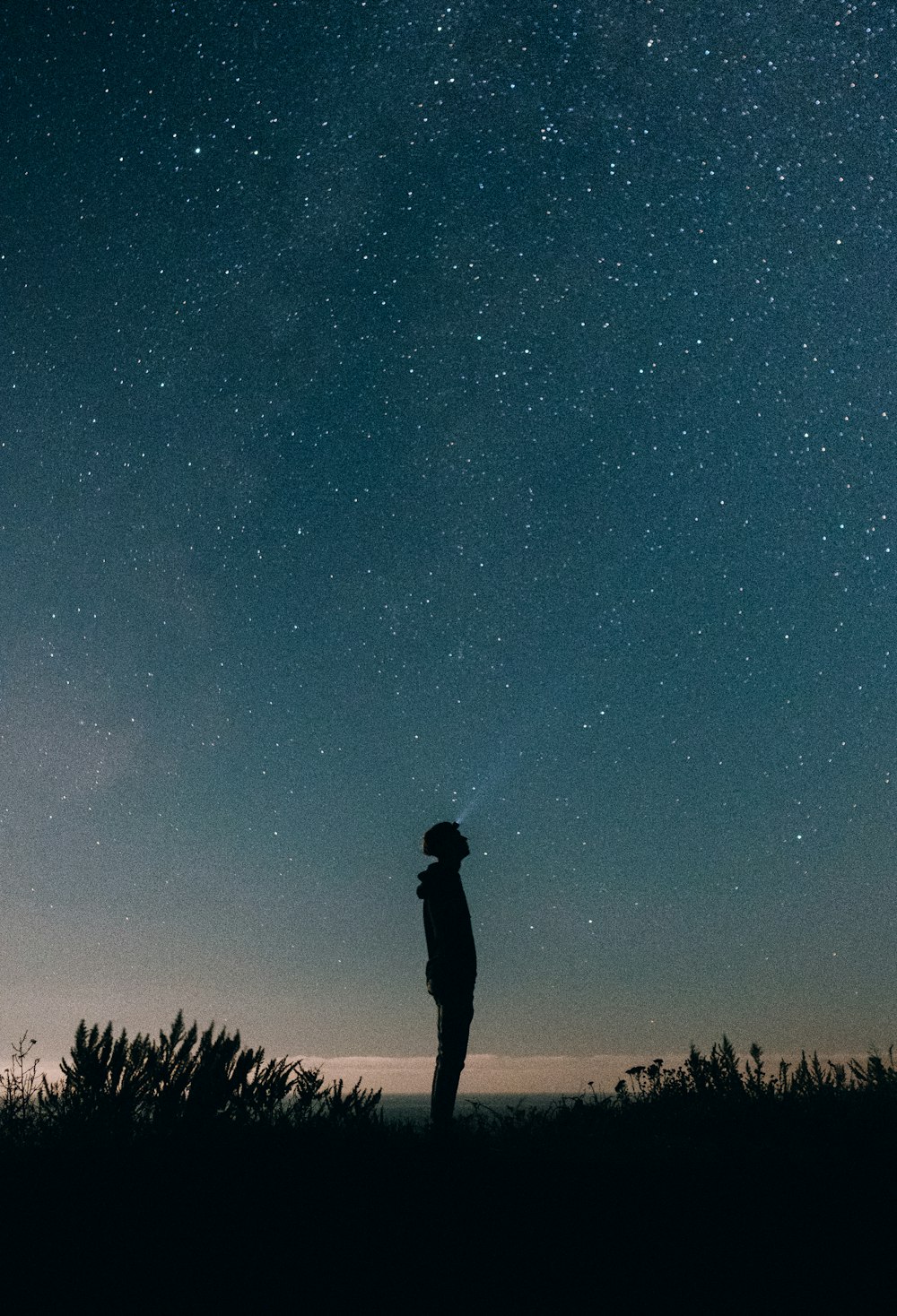 silhouette of person between grass under black sky