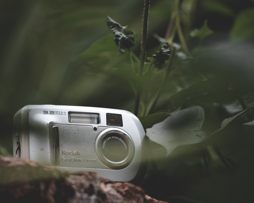 silver Kodak camcorder near green plant