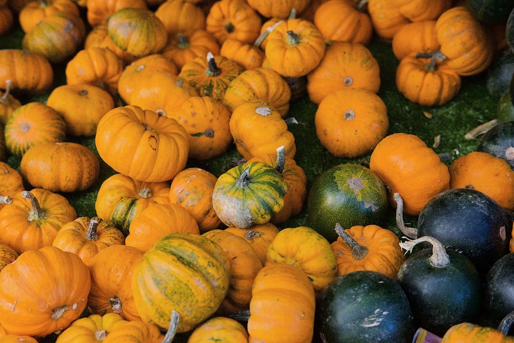 orange pumpkins and green squash vegetables on field