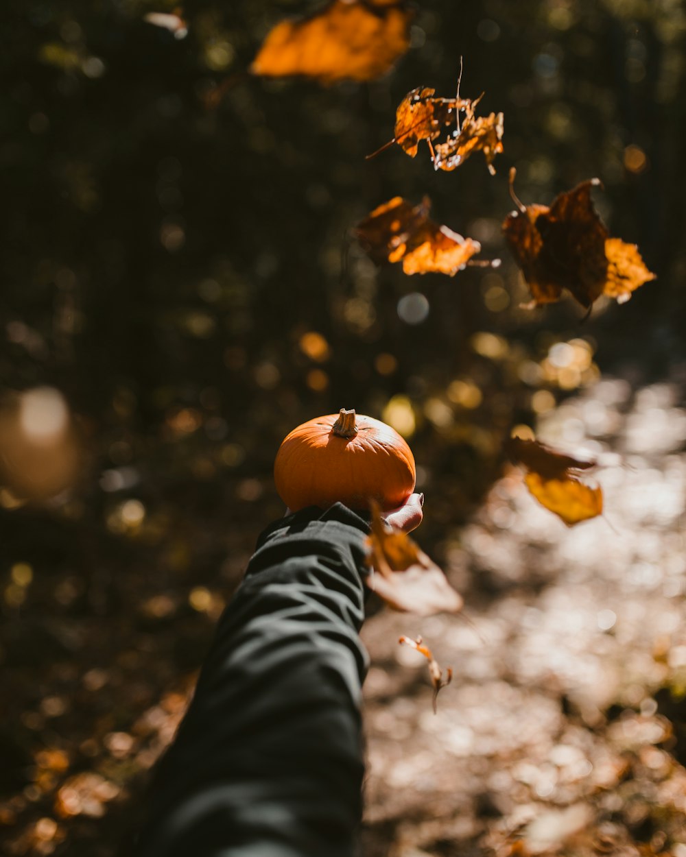 person holding orange pumpkin