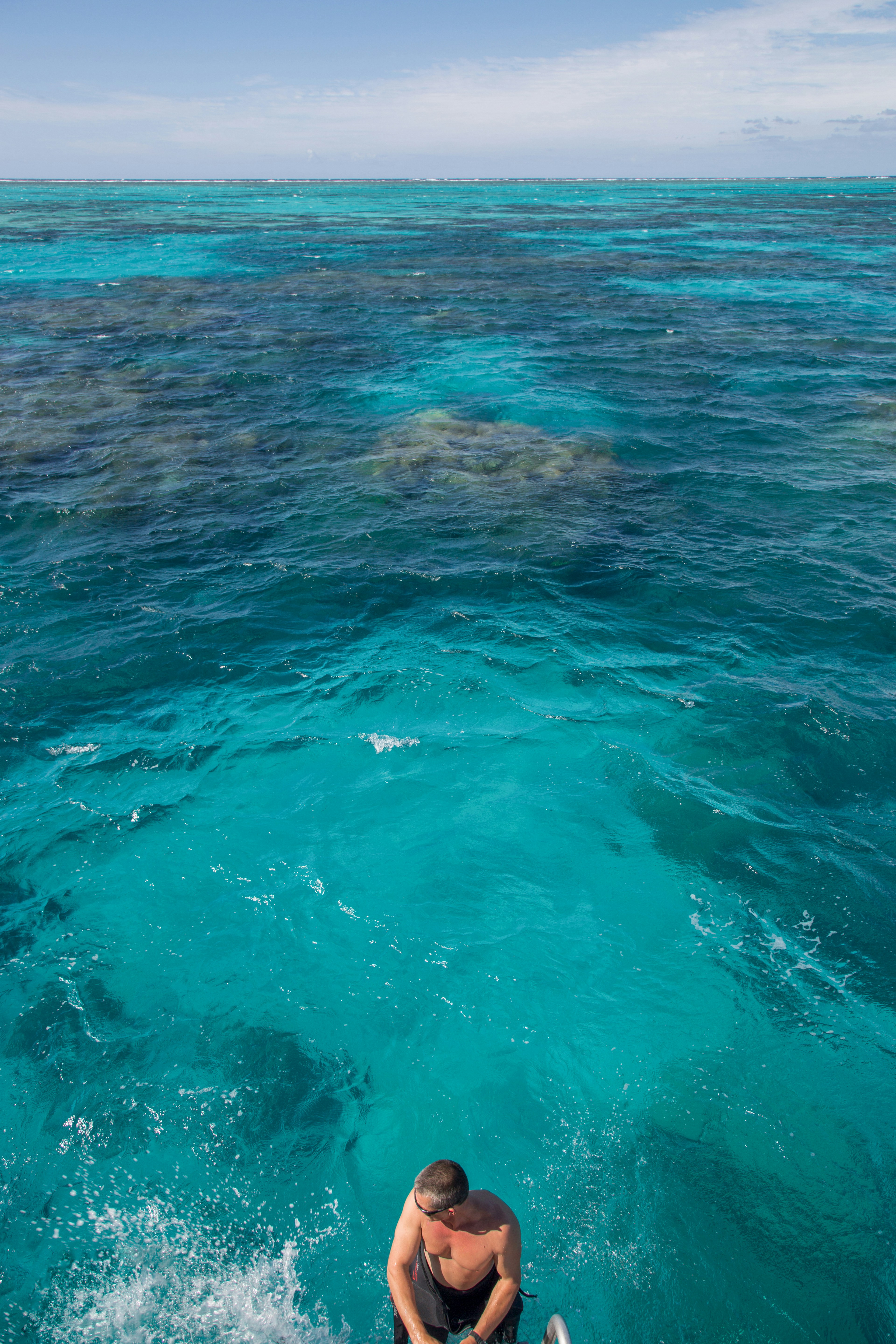 "such beauty, and yet deadly.