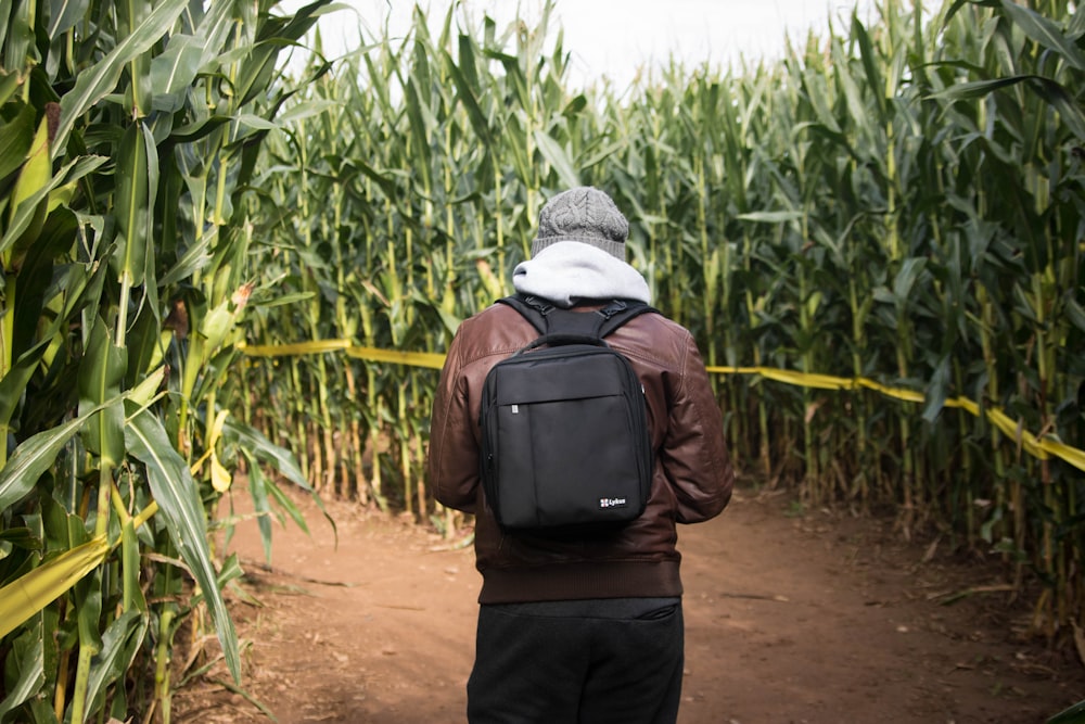 person wearing brown leather jacket and black backpack while walking on cornfield