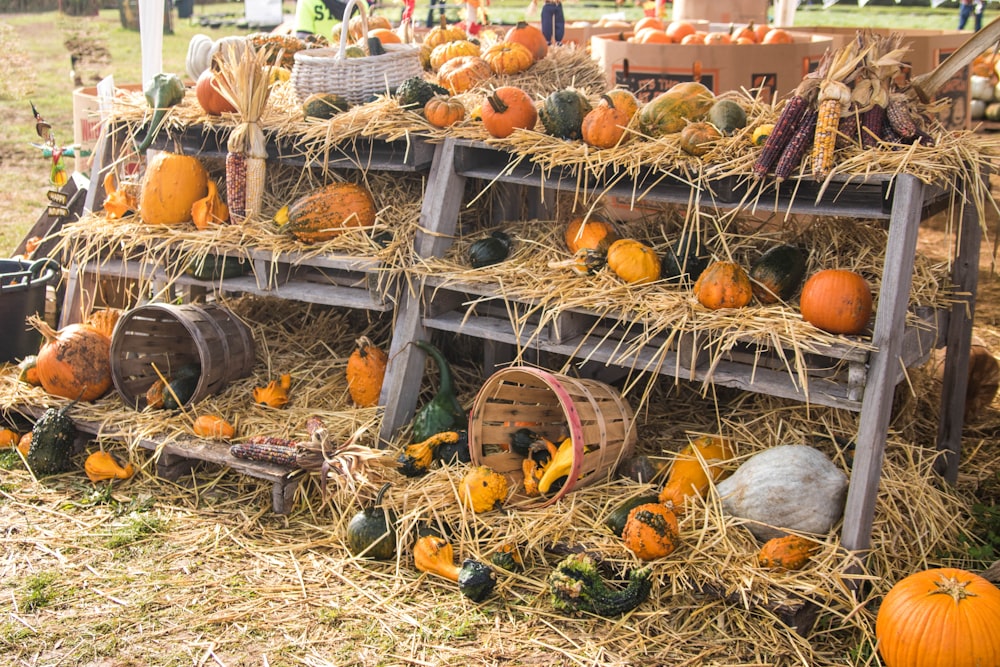 orange pumpkin on shelf