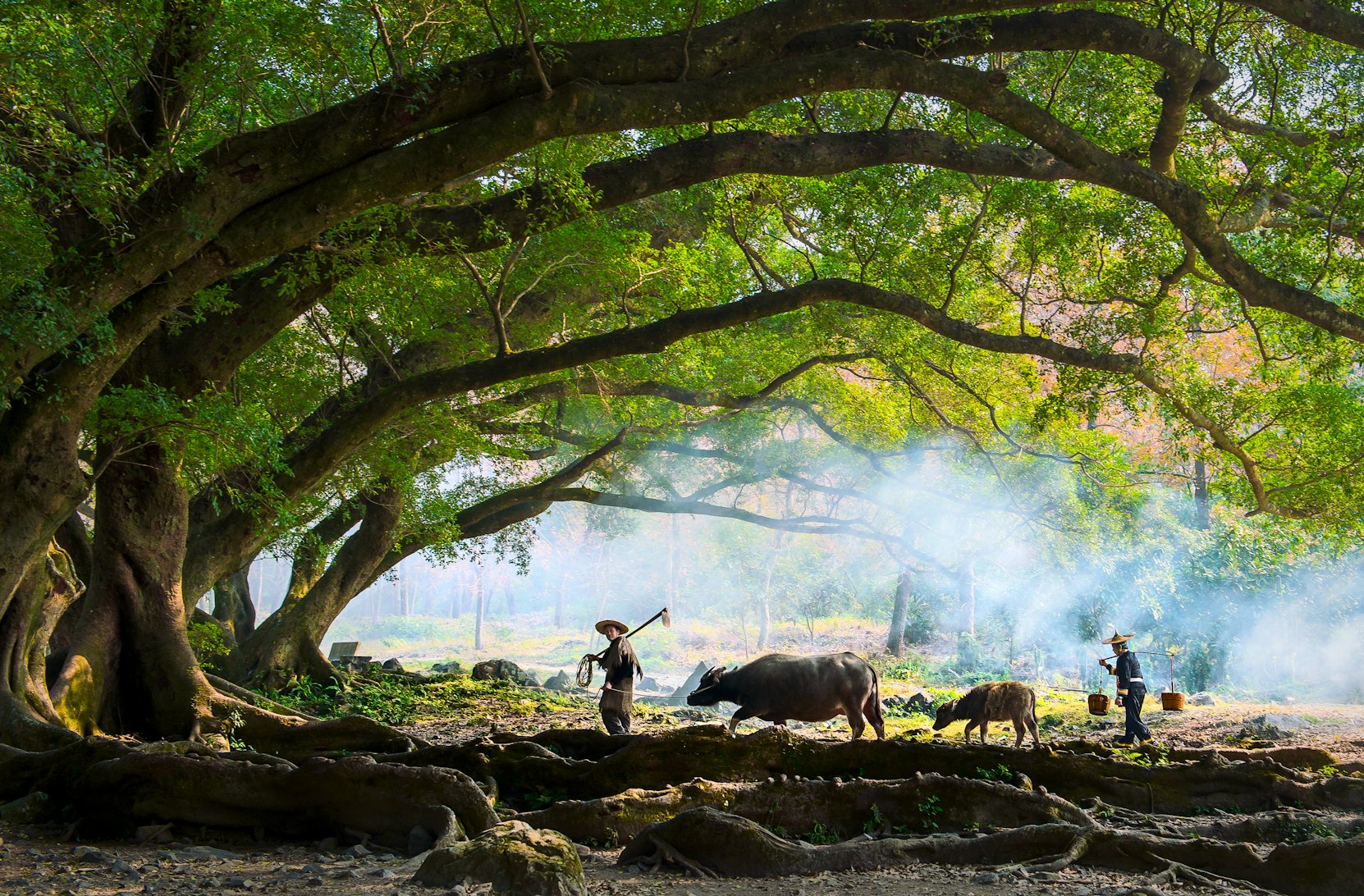 Farmers in China (ZHENGFAN YANG via Unsplash)