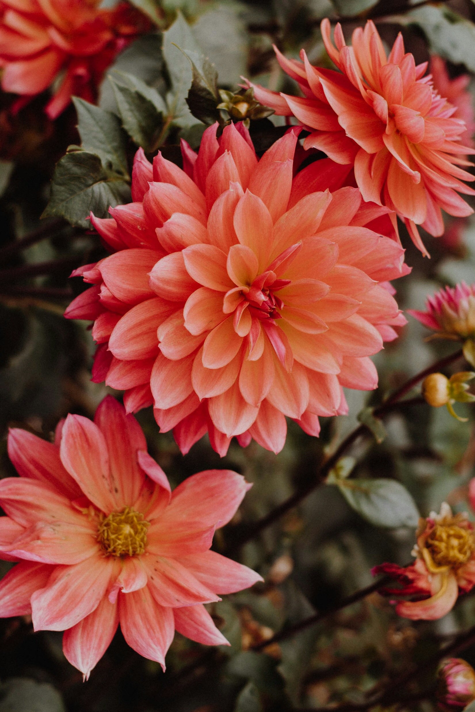 Photo by rachelcoyne